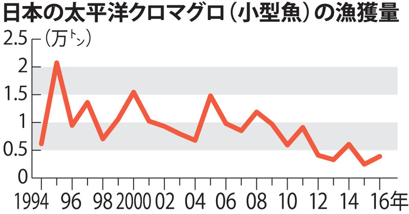 日本の太平洋クロマグロ(小型魚)の漁獲量