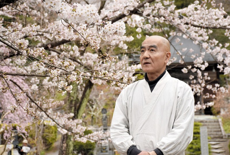 境内の桜を眺めながら語る玄侑宗久さん。「今こそ放射線の影響について、専門家が科学的な知見を語るべきです。そうしないと分断はどんどん深まってしまう」=福島県三春町の福聚寺で18日、小林祥晃撮影