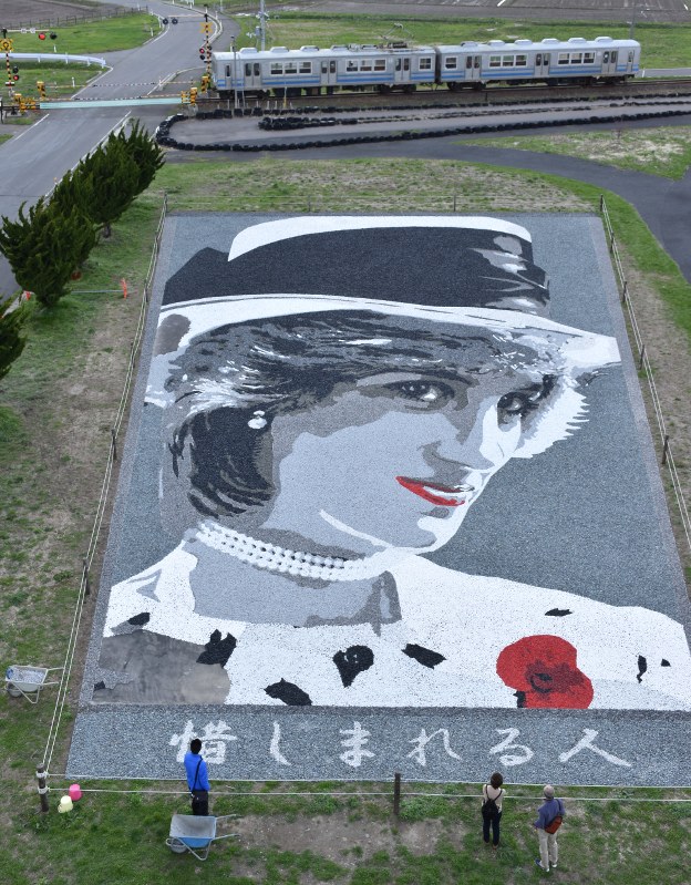 完成した故ダイアナ元妃の「石のアート」=田舎館村で