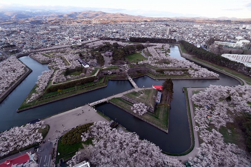 北海道 函館 五稜郭もサクラ見頃 写真特集1 6 毎日新聞