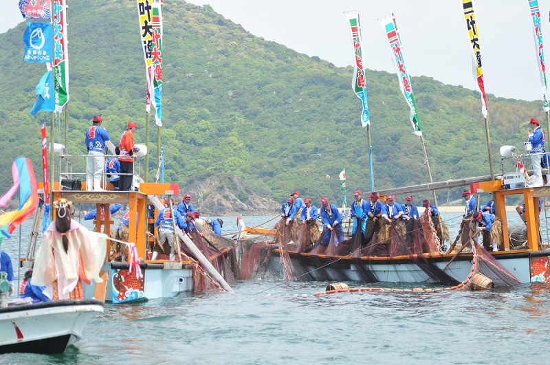 広島・鞆の浦：漁師ら豪快なかけ声 「観光鯛網」始まる [写真特集1/8