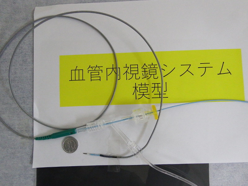血管内視鏡 広がる活用 コレステロール起因 異常を観察 動脈硬化の進行度 粥腫 で分類 毎日新聞