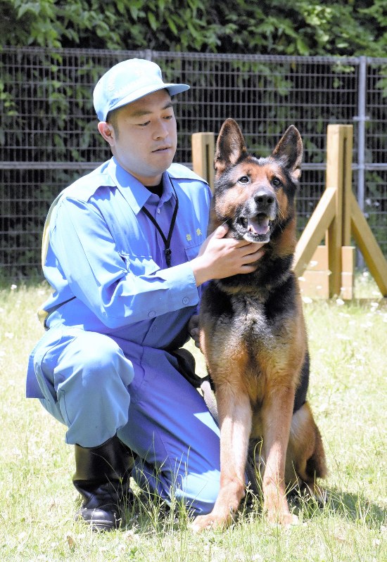 警察犬 高齢者捜しに出動 神奈川県警で昨年過去最多 毎日新聞