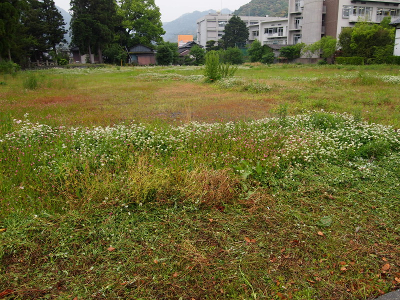 現在は草が生い茂っている築山跡の一角