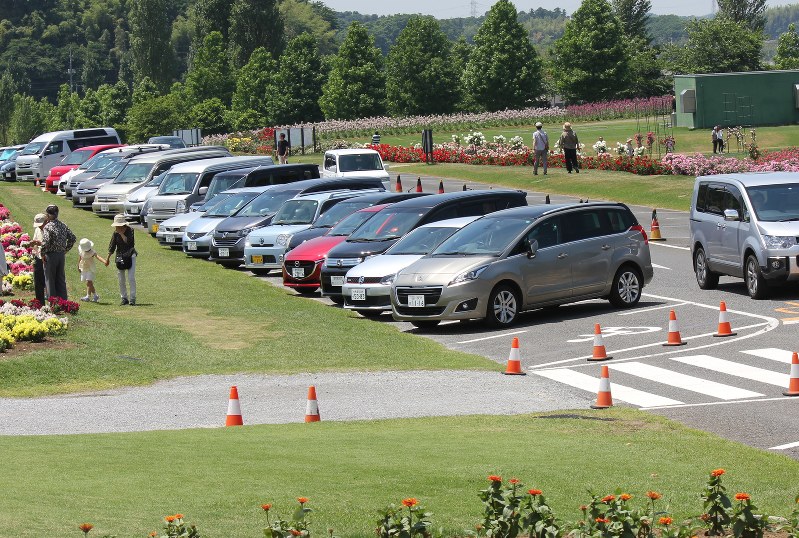 東京ドイツ村 人気上昇 冬のイルミ 高齢者配慮で 来園者 ３年連続１００万人超目指す 千葉 毎日新聞