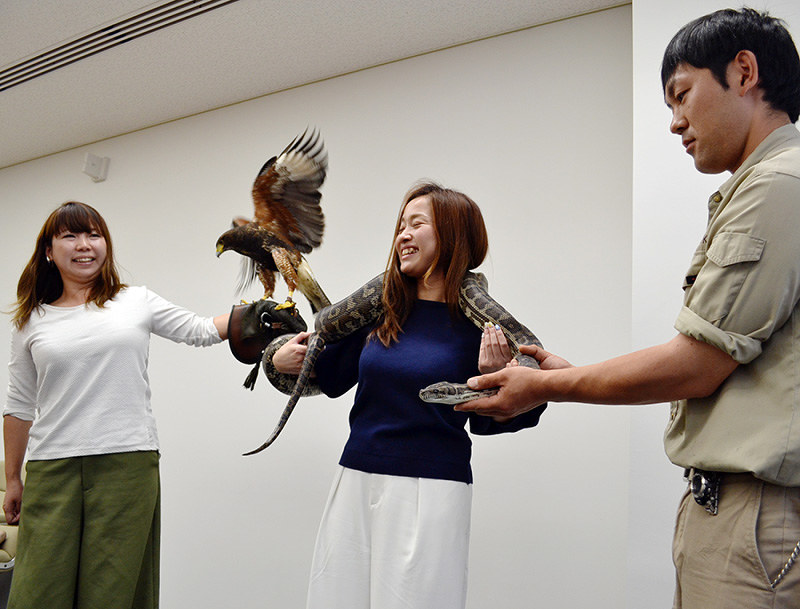 ふれあい動物園 ヘビや鳥 全２０種類 ウサギやモルモットも 来月３日 加東で 兵庫 毎日新聞