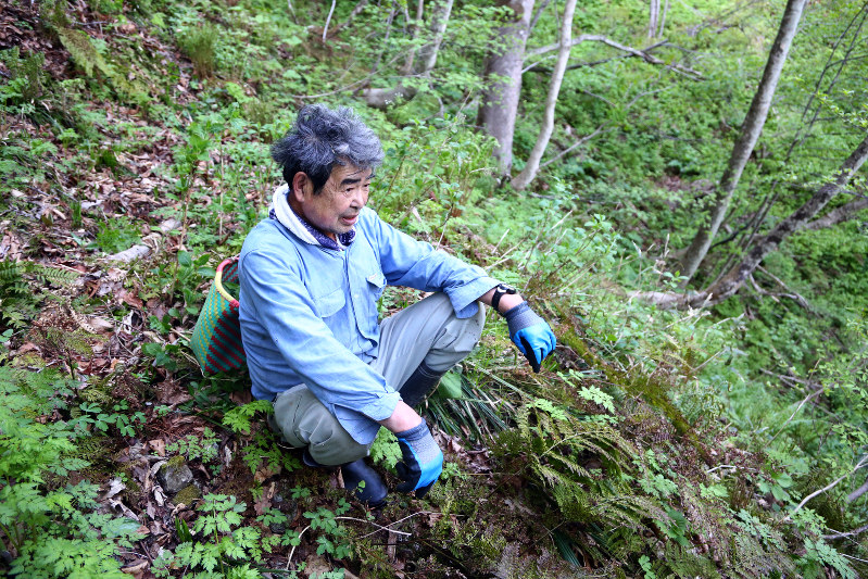 ｅｙｅ 春なのに 集落１人きり 毎日新聞