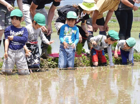 ガタリンピック 泥まみれ 干潟に歓声 ８競技に１２００人挑む 佐賀 毎日新聞