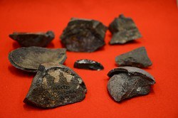 1965年に山口県下関市で採集された恐竜の卵化石=福井県立恐竜博物館で2017年6月2日午後0時13分、岸川弘明撮影