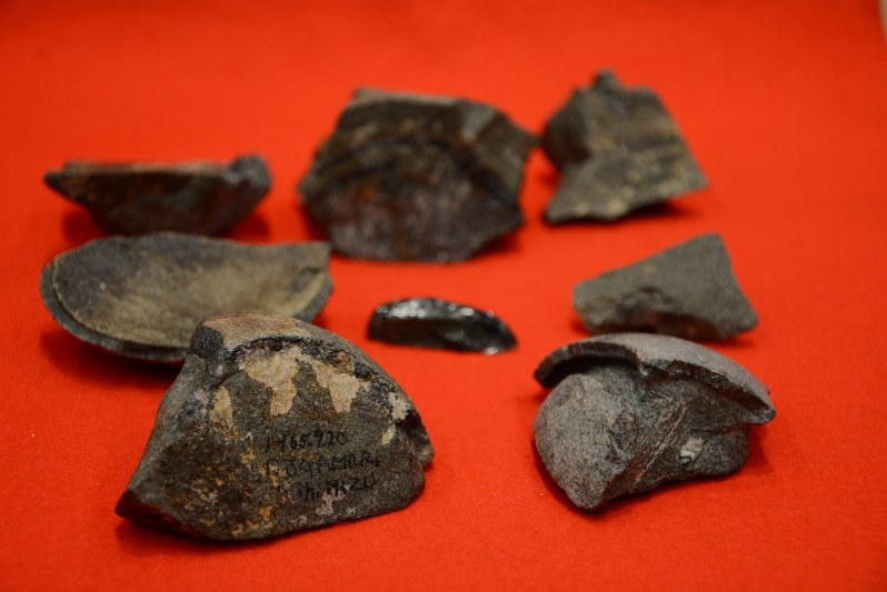 毎小ニュース：科学 52年前発見、新種恐竜の卵か | 毎日新聞