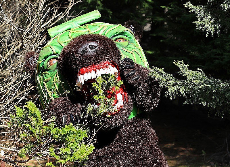 In Photos 'Melon Kuma' mascot from Hokkaido goes on the prowl The