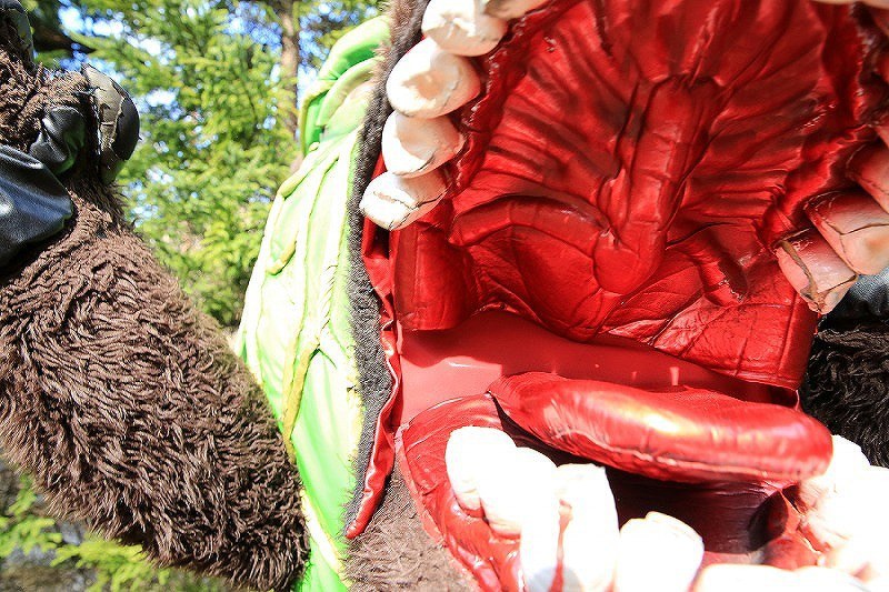 In Photos 'Melon Kuma' mascot from Hokkaido goes on the prowl The