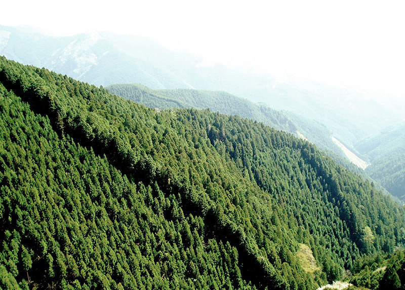 大和森林物語 １ 吉野の山林王 土倉庄三郎 １ 自由民権運動 支えた森 奈良 毎日新聞