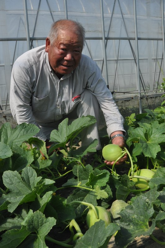 北釜クイーンの成長を確かめる鈴木更治さん=名取市で