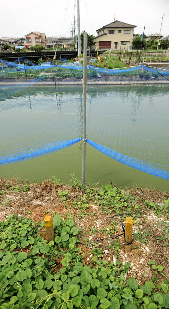 私道封鎖１カ月 長崎の団地孤島状態続く 識者 市も交え公平な負担を 毎日新聞