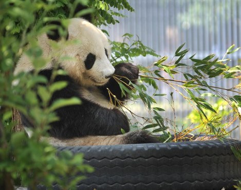 写真特集2/45] | 毎日新聞