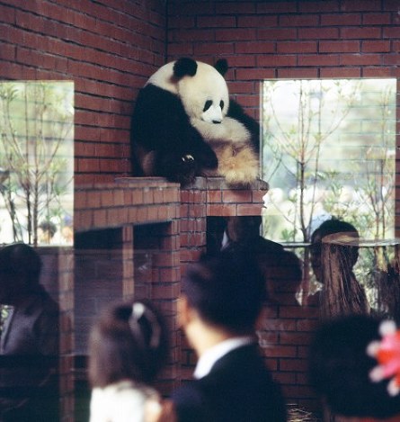 写真特集14/45] | 毎日新聞