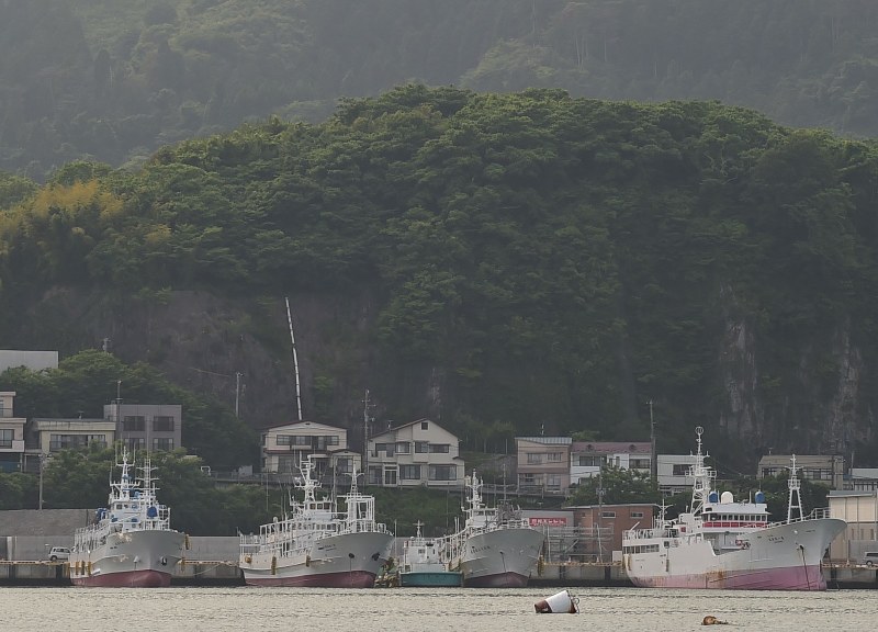 復興祈念公園が整備される陣山=気仙沼市で