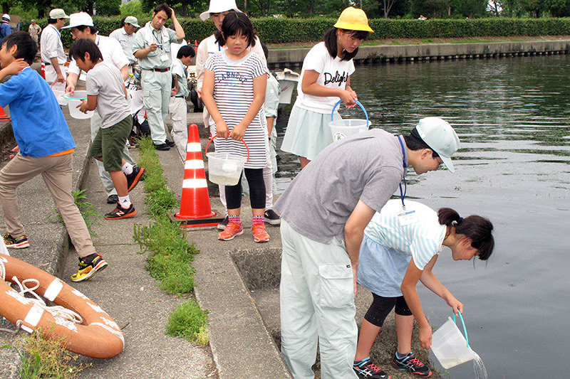 バケツに入ったワタカの稚魚を放流する児童たち=滋賀県彦根市尾末町で、西村浩一撮影