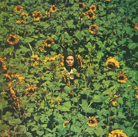 ひまわり畑を通り抜けるソフィア・ローレン演じるジョバンナ。ウクライナ大使館によると、ひまわり畑のシーンは、ウクライナ（当時はソ連の共和国）の首都キエフから南に約５００キロのヘルソン州で撮影されたという。ブルーレイ（ＫＡＤＯＫＡＷＡ、５１８４円）とＤＶＤ（エスピーオー、３０２４円）が発売中。発売元はともにＩＭＡＧＩＣＡ ＴＶ