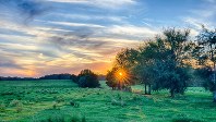 農場の彼方に沈む夕日＝サウスカロライナ州
