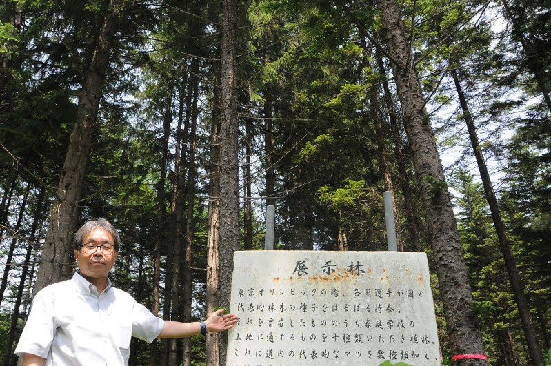 1964年東京五輪の参加国・地域から贈られた種から育った樹木。北海道家庭学校の軽部晴文教頭は「戦後復興を願った東京五輪の歴史を知るきっかけにしてほしい」と話す=北海道遠軽町の同学校で6月30日
