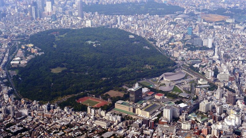 代々木公園(中央)と渋谷区一帯