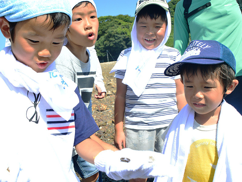 環境市民ネット松永が開いた「夏の海辺教室」で、つかまえたカニを観察する子供たち=広島県尾道市浦崎町の手城島で、渕脇直樹撮影