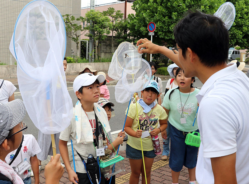 捕まえた虫に見入る小学生ら=奈良県大和高田市で、藤原弘撮影