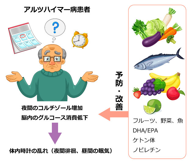 睡眠を改善する食事で認知症予防 | 生命の時計から考える健康生活