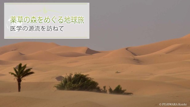 サハラ砂漠の民を支えるオアシスの果実 薬草の森をめぐる地球旅 医学の源流を訪ねて 鷺森ゆう子 藤原幸一 毎日新聞 医療プレミア サハラ砂漠の民を支えるオアシスの果実 薬草の森をめぐる地球旅 医学の源流を訪ねて 鷺森ゆう子 藤原幸一 毎日新聞 医療プレミア