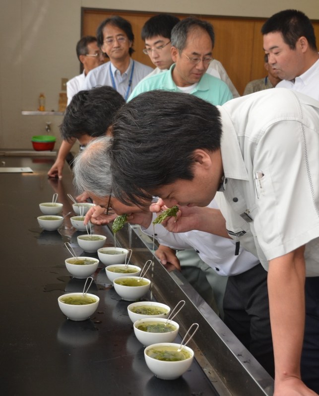 富士市産の荒茶の香りを吟味する審査員ら=富士市の茶業研修センターで