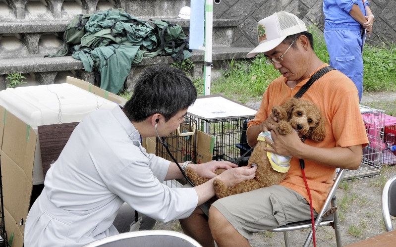 臨時動物救護病院で獣医師(左)から模擬診察を受ける小型犬=静岡県三島市川原ヶ谷の山田中学校で、2017年8月27日、垂水友里香撮影