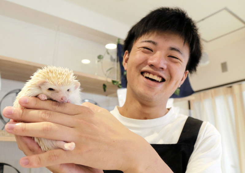 ハリネズミ 触れ合いの空間 癒やし求め人気 横浜 毎日新聞