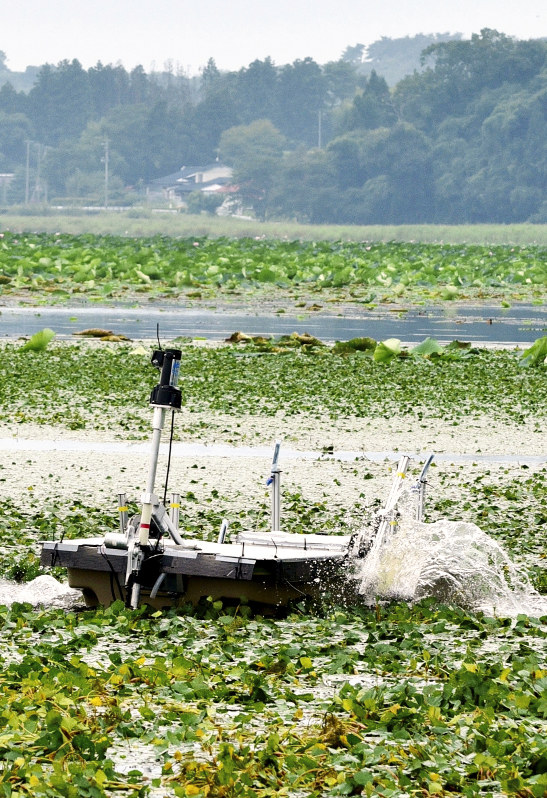 前方のカッターでヒシを刈り取る「ハス刈りロボット」のデモンストレーション=宮城県栗原市の内沼で、山田研撮影