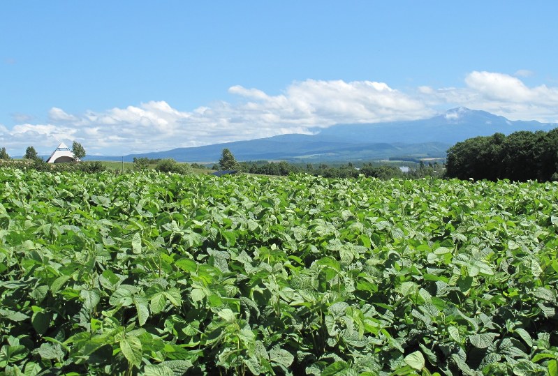 Despite sharing agricultural knowhow, food shortage could lie ahead