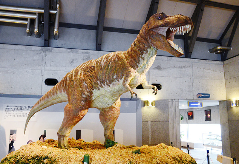 四国見聞録 高知県佐川町 佐川地質館 地球の記憶 がお出迎え シルル紀から白亜紀の地層 構造線 が通る町 四国 毎日新聞