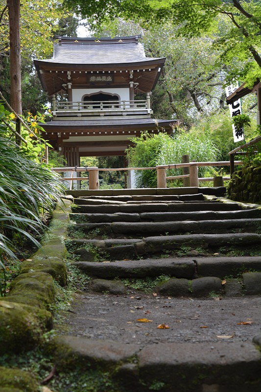 「寺コン」の会場となる浄智寺のこけむした石段と鐘楼門(奥)=鎌倉市山ノ内で