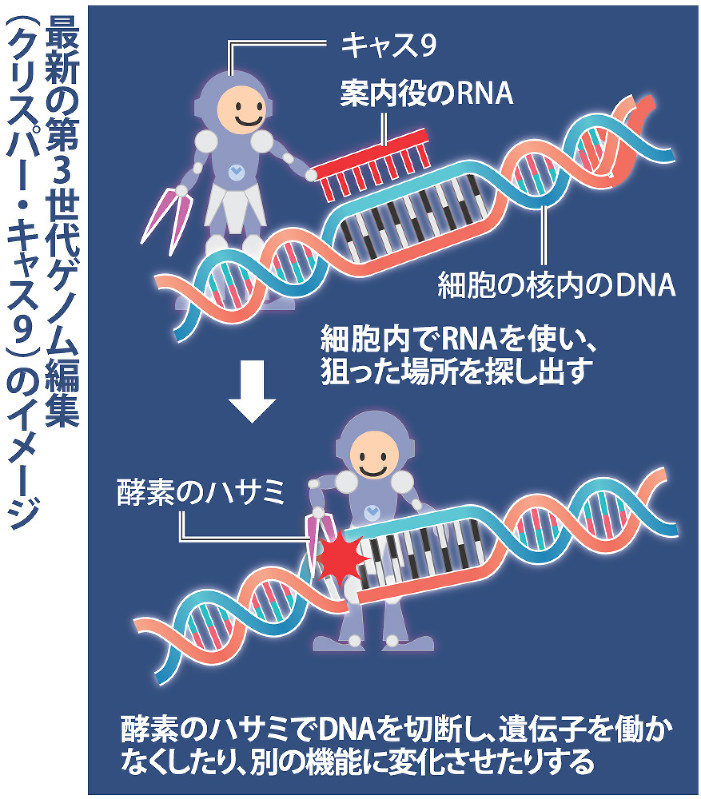 毎日新聞