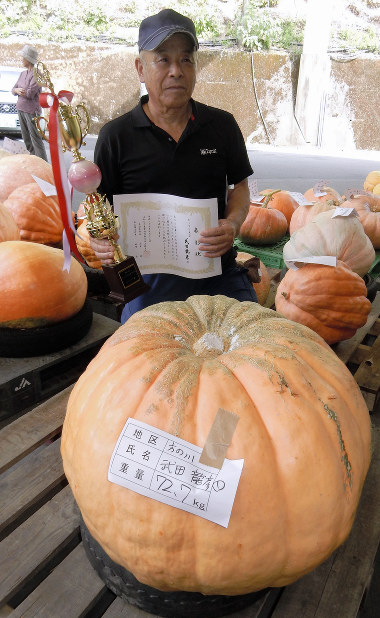 カボチャ：育てた特大72．7キロ 高知・四万十 | 毎日新聞