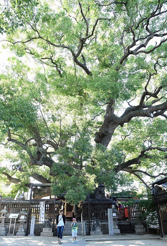 りらくフォト 大きくなあれ 写真特集2 6 毎日新聞