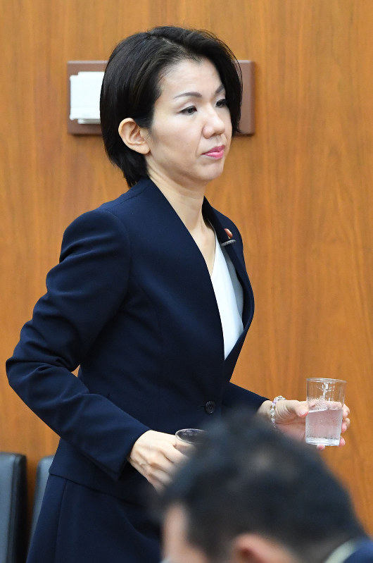 衆院厚生労働委員会に出席した豊田真由子議員=国会内で2017年9月20日午前10時52分、川田雅浩撮影
