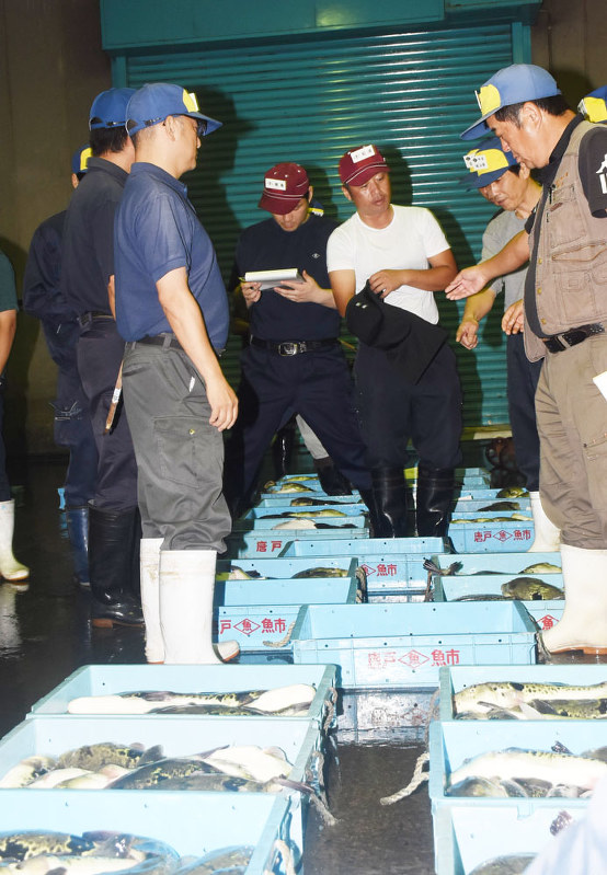 フグの初競り シーズン到来 下関の南風泊 山口 毎日新聞