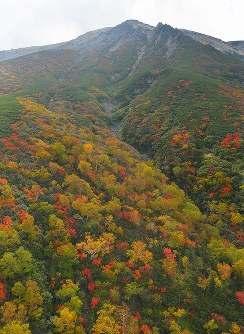 御嶽山噴火3年：山頂周辺を空撮 [写真特集17/14] | 毎日新聞