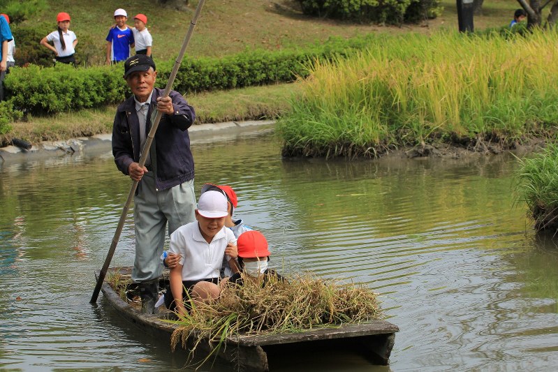 稲刈り 堀田 で小学生１１０人体験 海津 岐阜 毎日新聞
