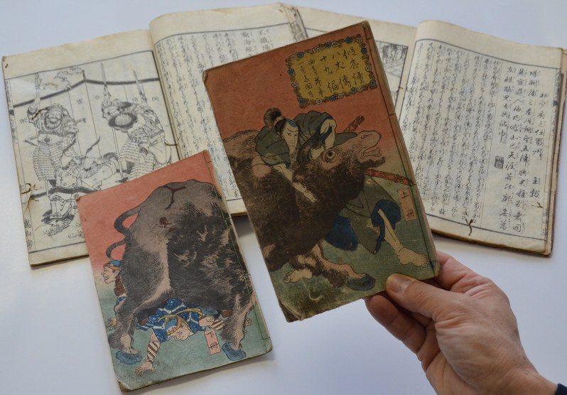 越後の牛の角突きがカラーで描かれている「八犬伝」