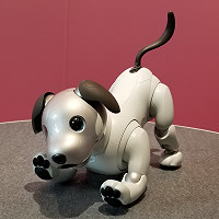 ソニー：歴代AIBO [写真特集9/9] | 毎日新聞