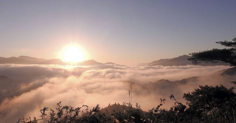 神話の里 神々しい雲海広がる 高千穂 国見ケ丘山頂 毎日新聞
