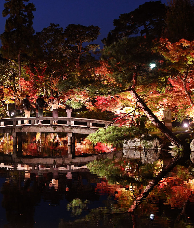 試験点灯された永観堂禅林寺の紅葉=京都市左京区で2017年11月2日午後5時40分、大西岳彦撮影
