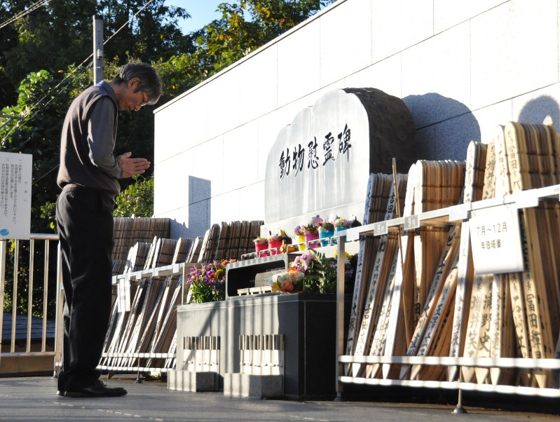 杉並清掃事務所に回収され、火葬された動物たちが眠る川崎市の墓地。慰霊碑には献花が絶えない=成田有佳撮影